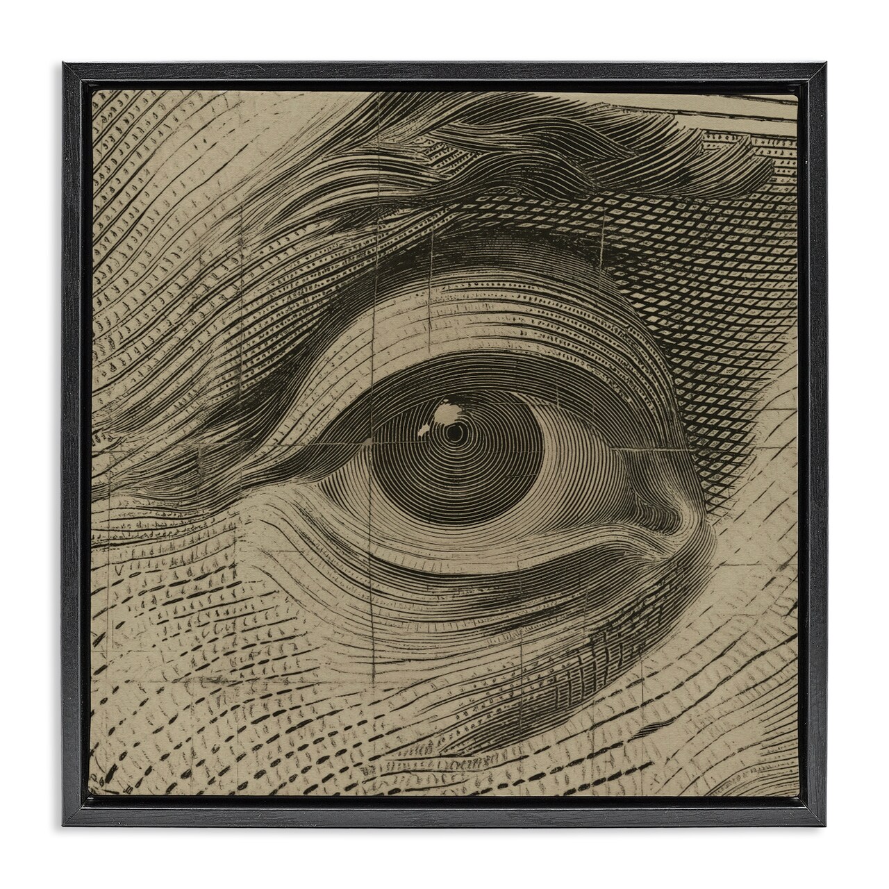 Stupell Industries Franklin's Gaze Eye Floating Frame, design by Svetlana Aleynikova
